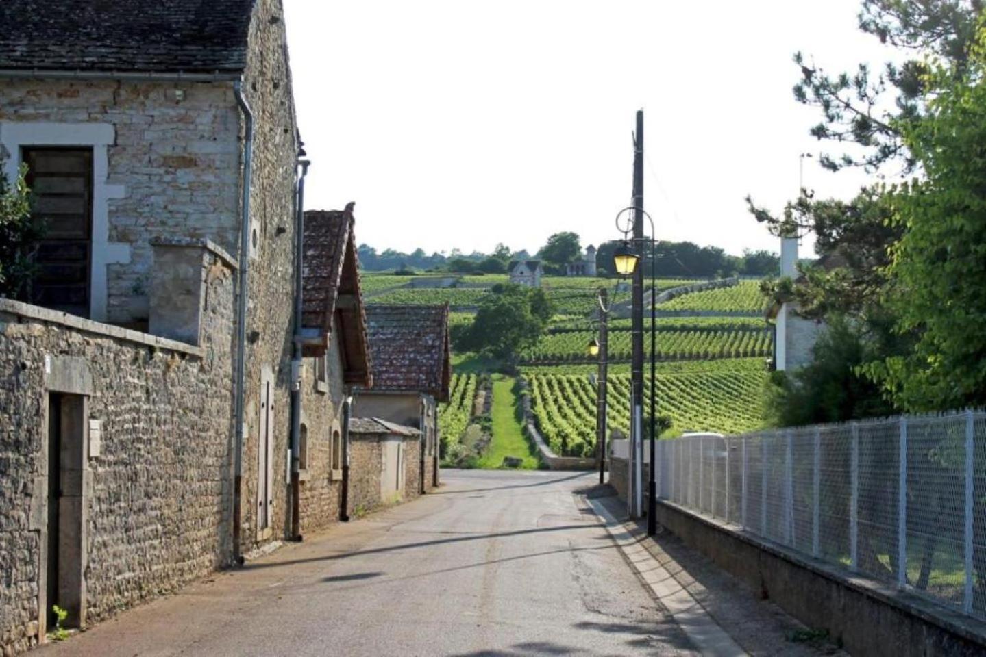 Le Lagon Bleu - Centre Ville - Maison Boucicaut - By Primo C0Nciergerie Chalon-sur-Saône Zewnętrze zdjęcie