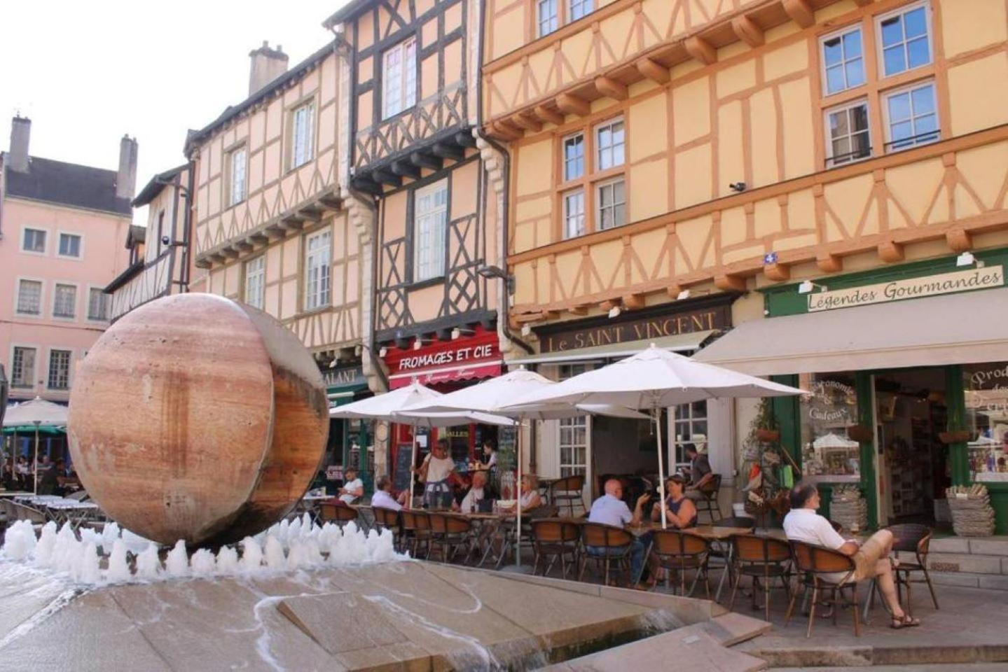 Le Lagon Bleu - Centre Ville - Maison Boucicaut - By Primo C0Nciergerie Chalon-sur-Saône Zewnętrze zdjęcie